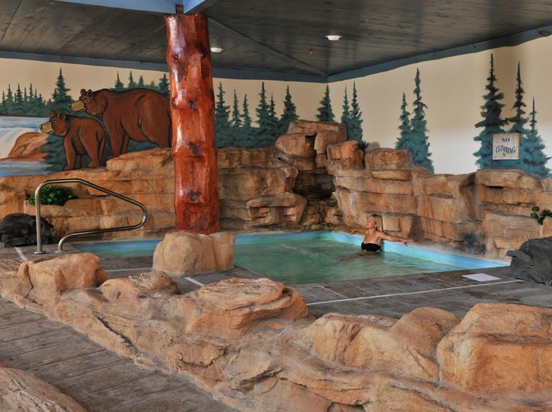 Stoney Creek Hotel St. Joseph Facilities photo